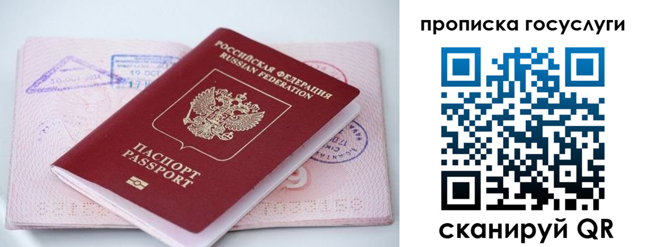 прописка законно в Псковской области